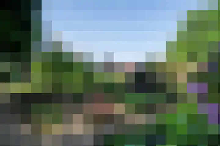 Beekstraat 28 Beesel thumbnail 46