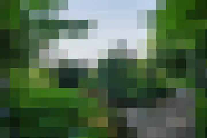 Beekstraat 28 Beesel thumbnail 48