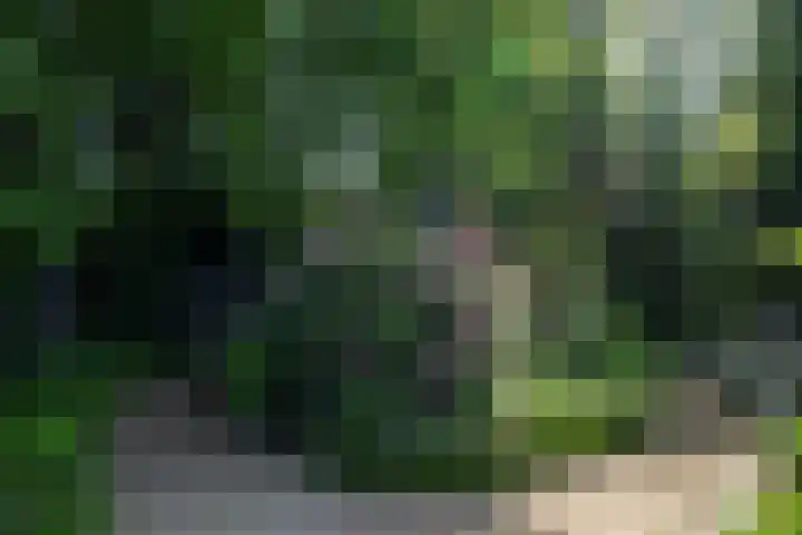 Beekstraat 28 Beesel thumbnail 51