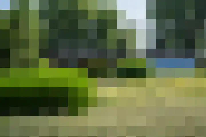 Beekstraat 28 Beesel thumbnail 6