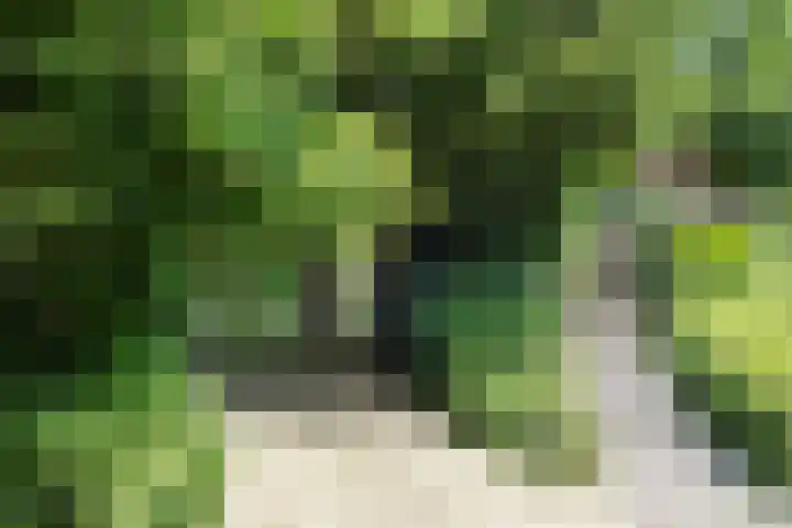 Beekstraat 28 Beesel thumbnail 69