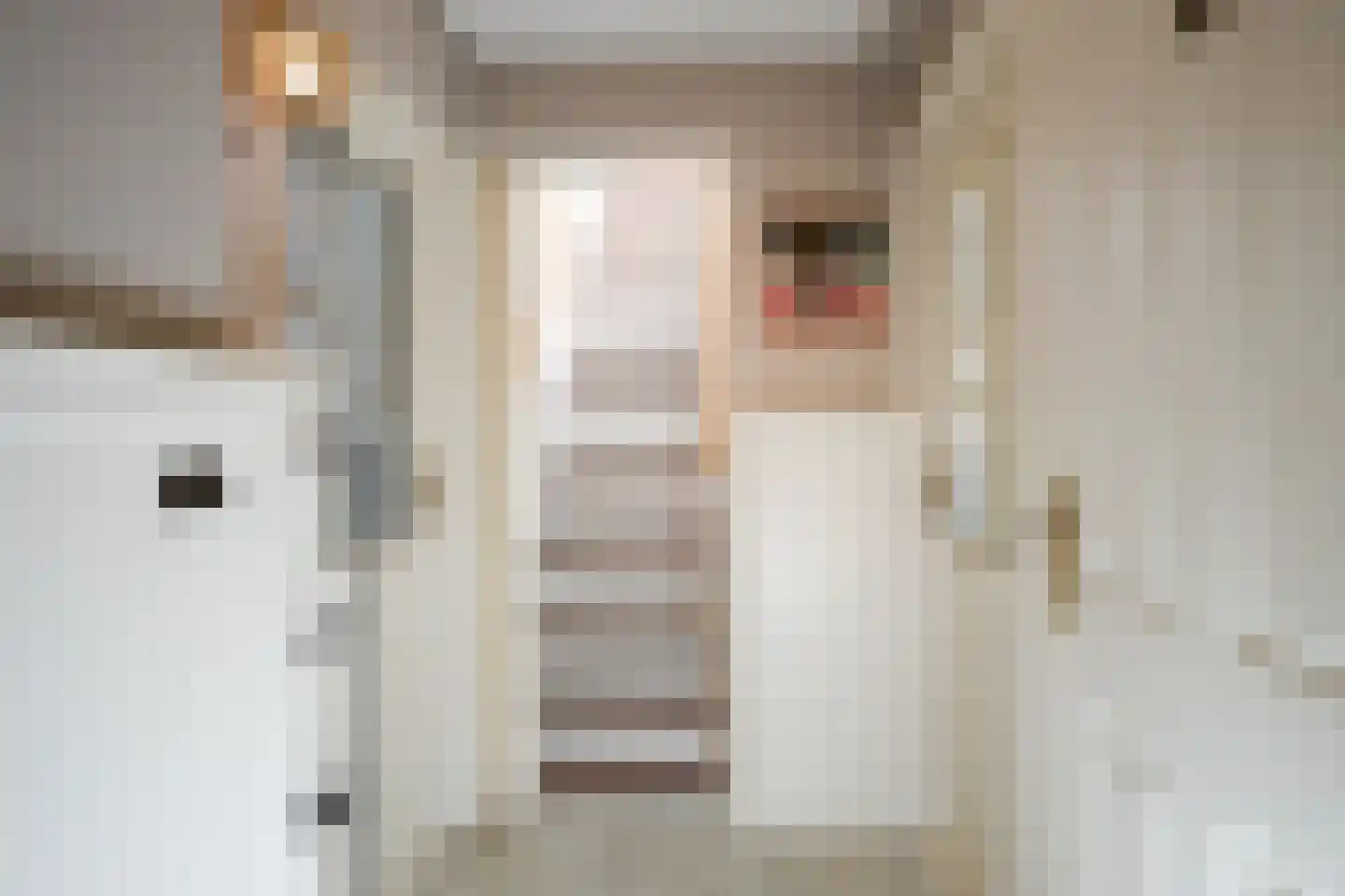 Beekstraat 28 Sittard thumbnail 22