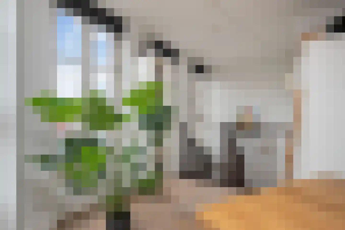 Beekstraat 3 1 Arnhem thumbnail 18