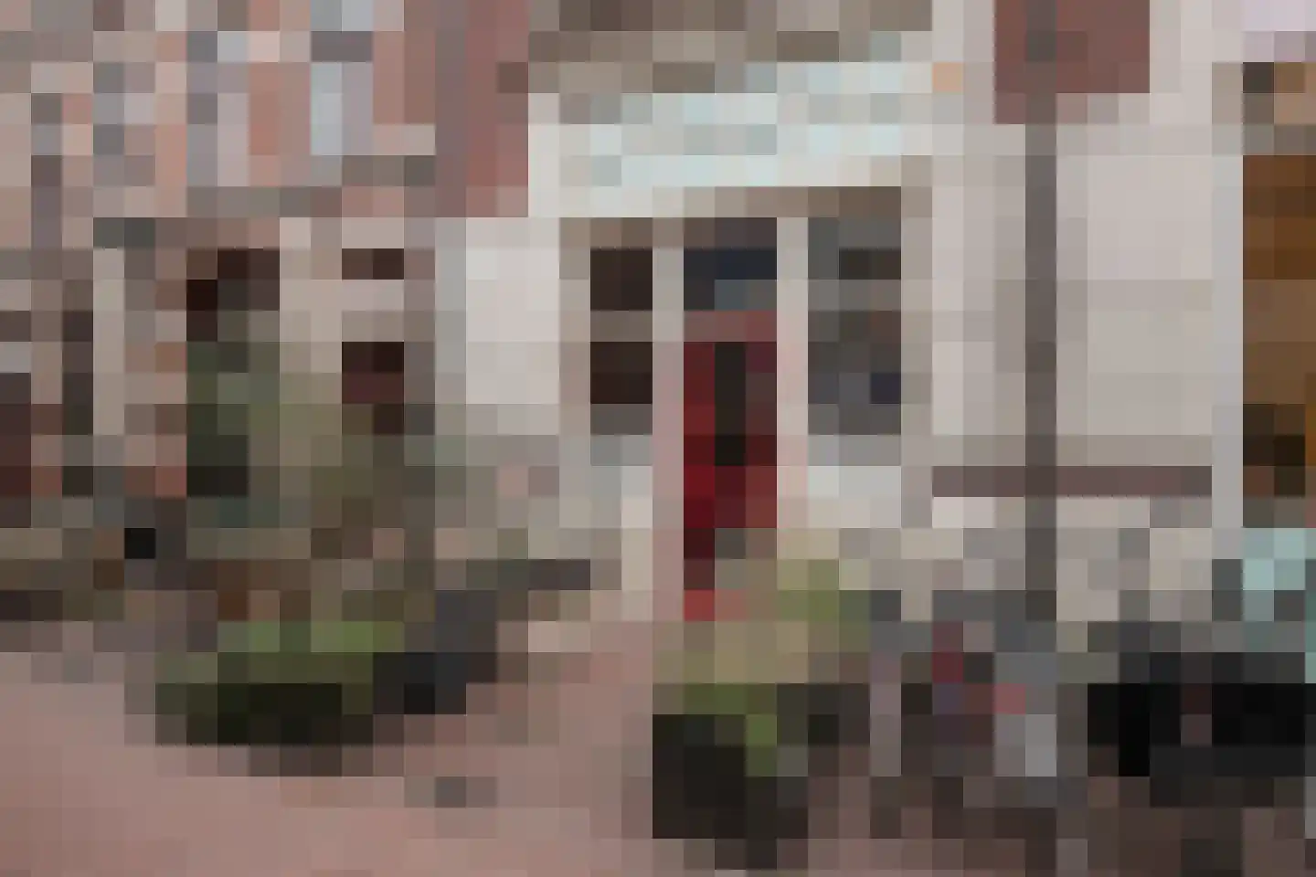 Beekstraat 3 1 Arnhem thumbnail 52