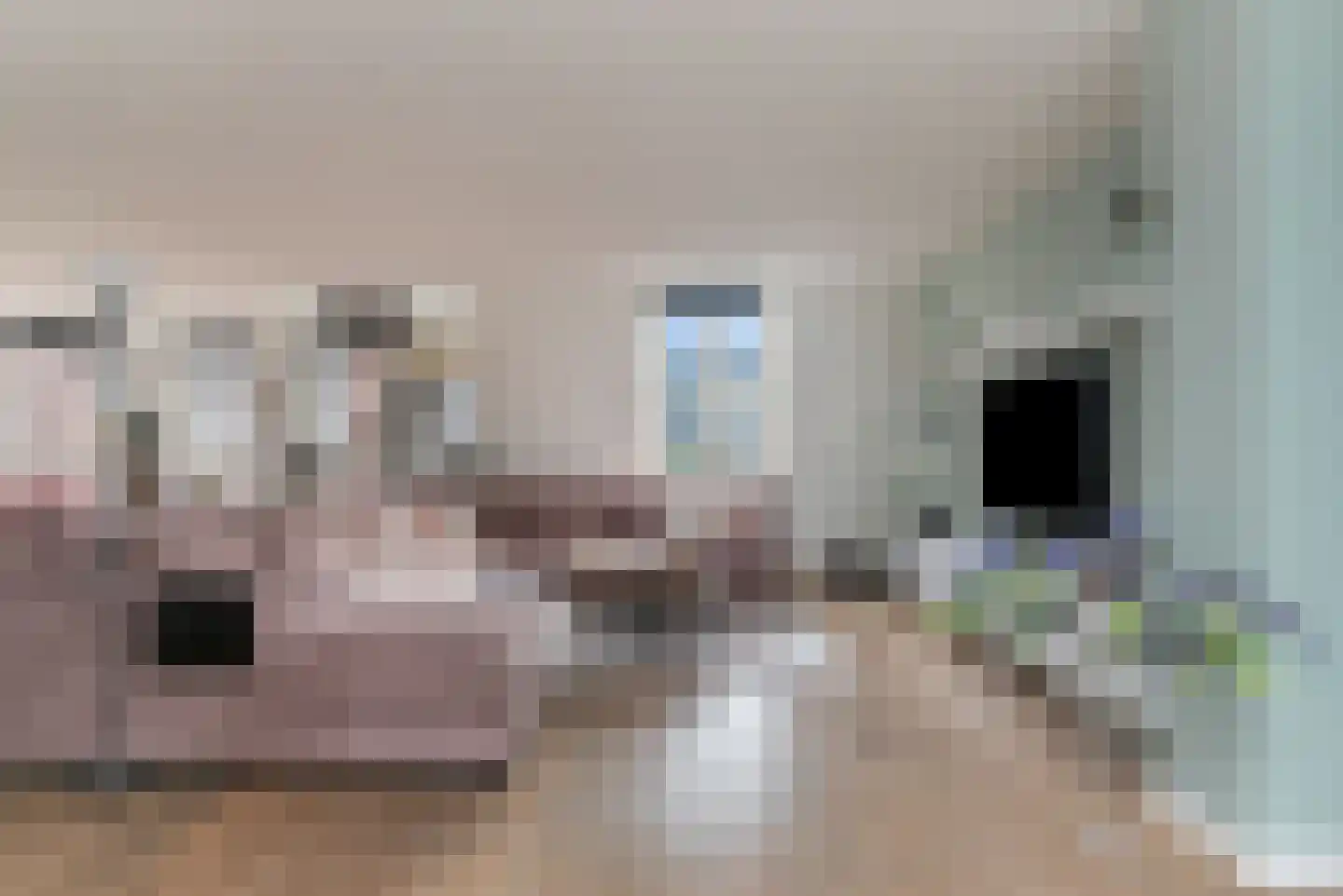 Beekstraat 3 1 Arnhem thumbnail 8