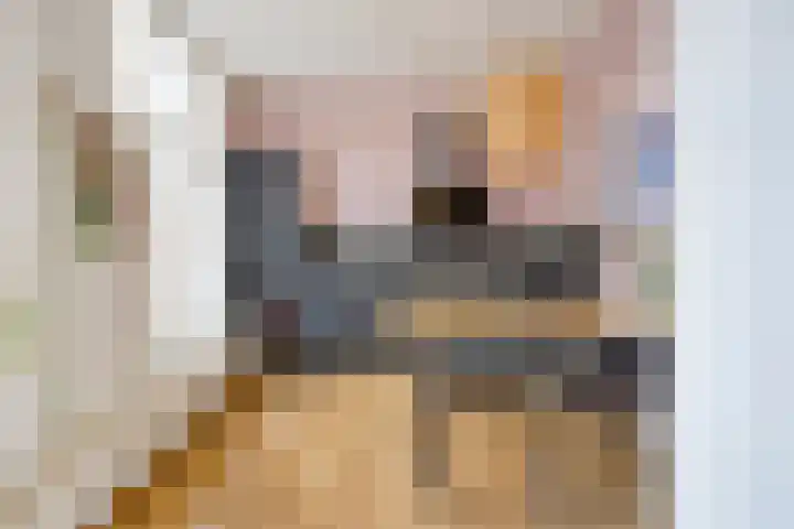 Beekstraat 3 4 Arnhem thumbnail 7