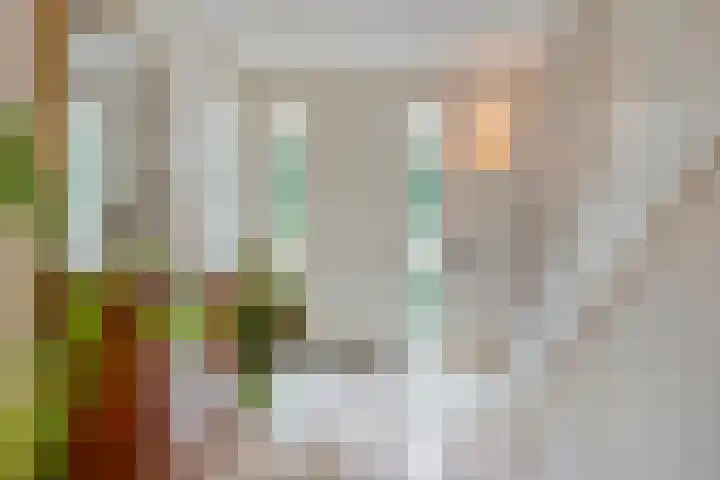 Beekstraat 3 Horst thumbnail 10