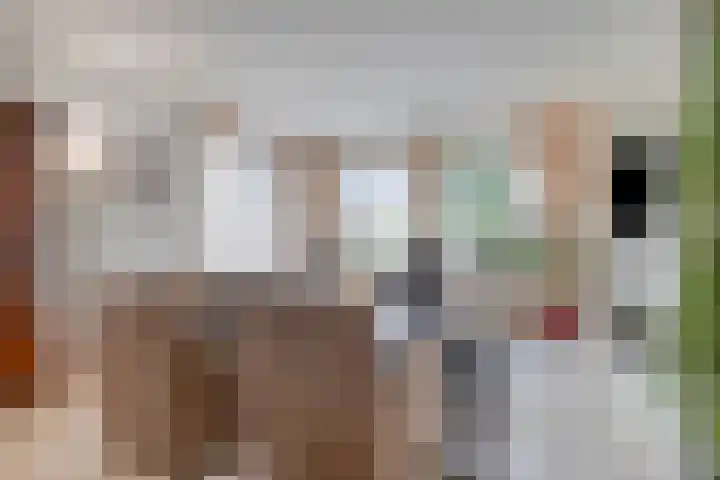 Beekstraat 3 Horst thumbnail 12