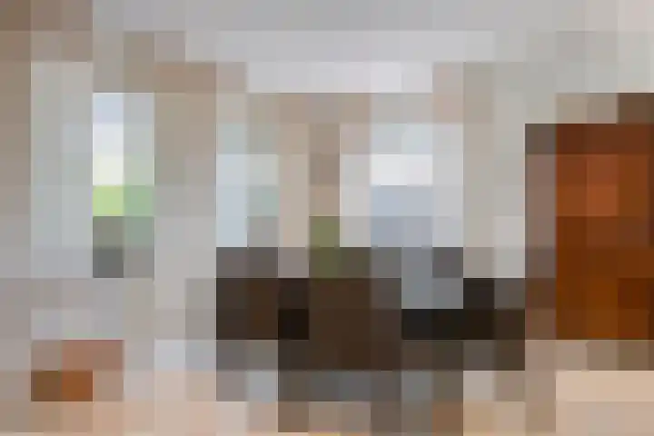 Beekstraat 3 Horst thumbnail 15