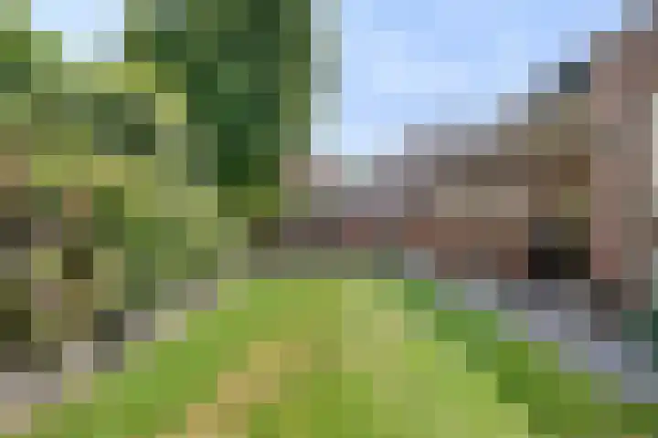 Beekstraat 3 Horst thumbnail 4