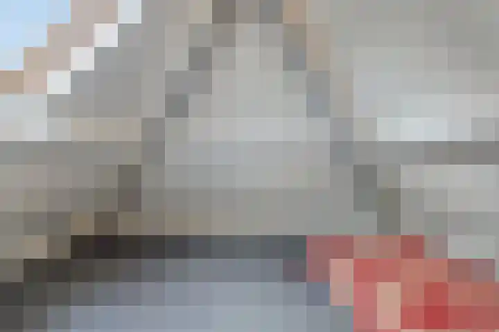 Beekstraat 3 Horst thumbnail 47