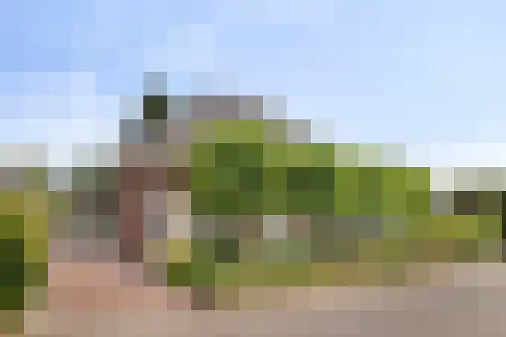 Beekstraat 3 Horst thumbnail 5