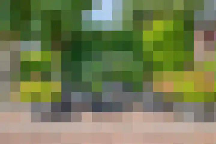 Beekstraat 3 Horst thumbnail 56