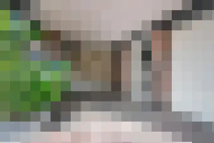 Beekstraat 3 Horst thumbnail 58