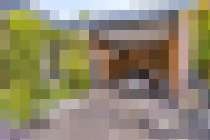 Beekstraat 3 Horst thumbnail 59