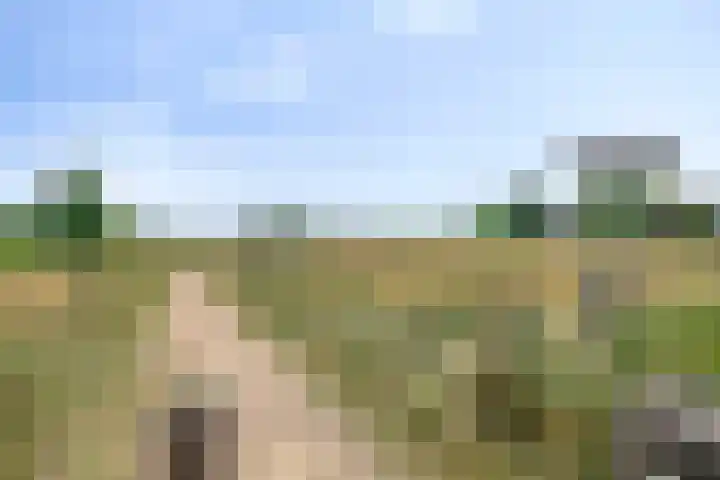 Beekstraat 3 Horst thumbnail 69