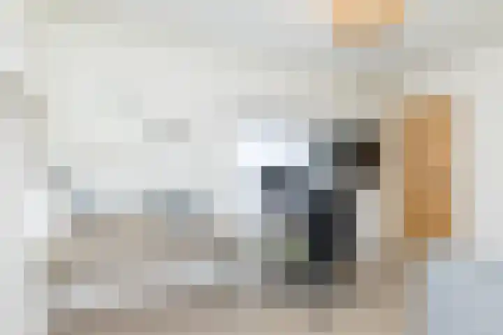 Beekstraat 30 Schinveld thumbnail 42