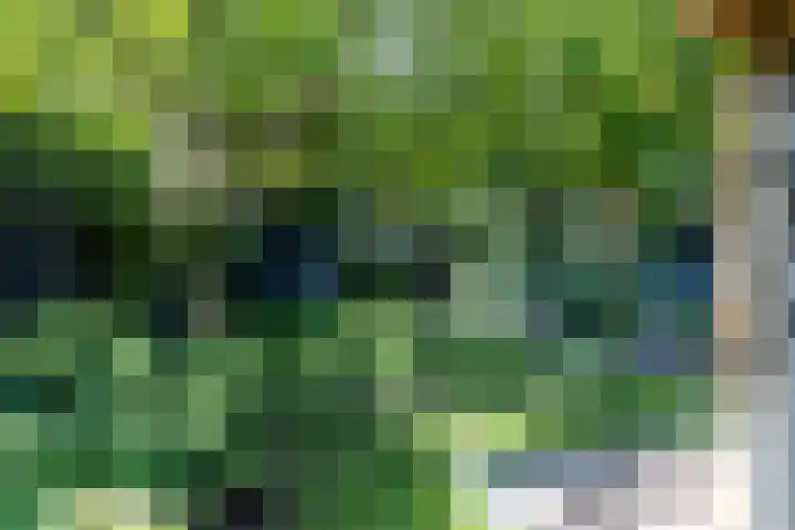 Beekstraat 30 Schinveld thumbnail 53