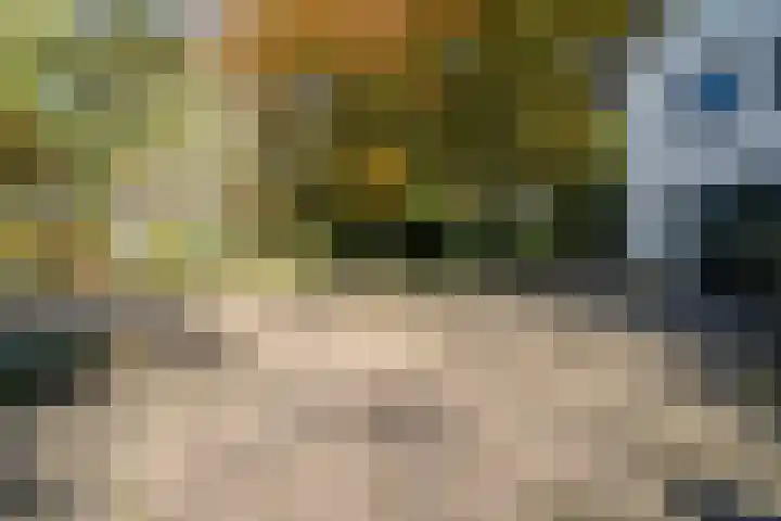 Beekstraat 32 Beesel thumbnail 11