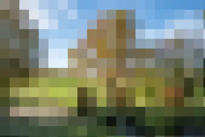 Beekstraat 32 Beesel thumbnail 15