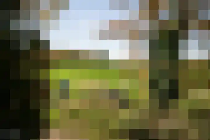 Beekstraat 32 Beesel thumbnail 5