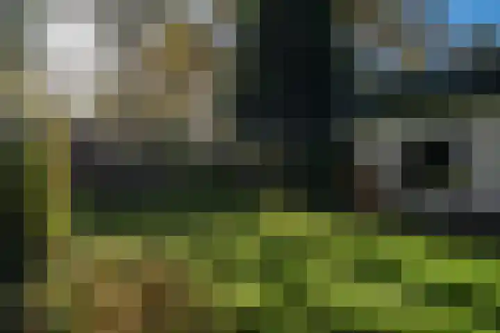 Beekstraat 32 Beesel thumbnail 53