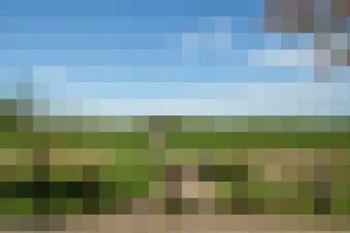 Beekstraat 32 Beesel thumbnail 6