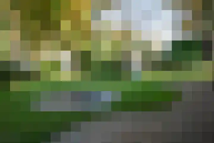Beekstraat 32 Beesel thumbnail 63