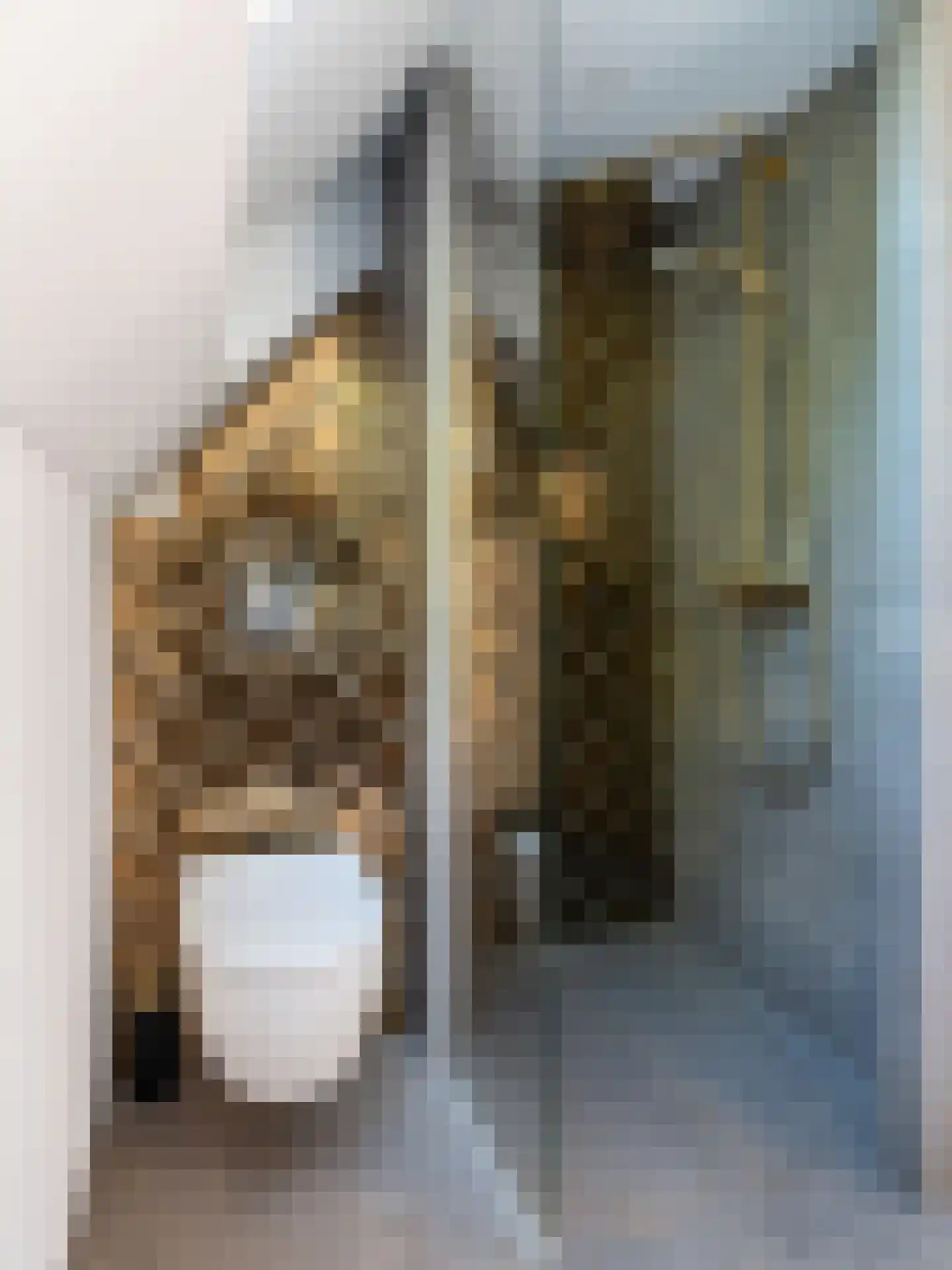 Beekstraat 32 D Nuenen thumbnail 24