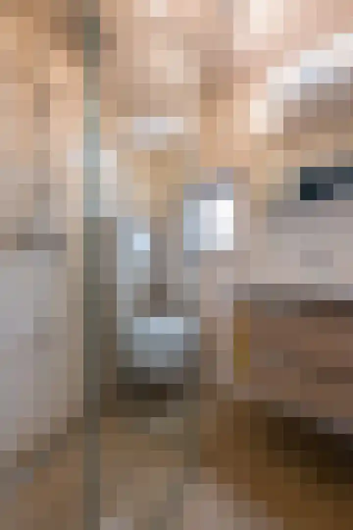 Beekstraat 33 Nieuwstadt thumbnail 21