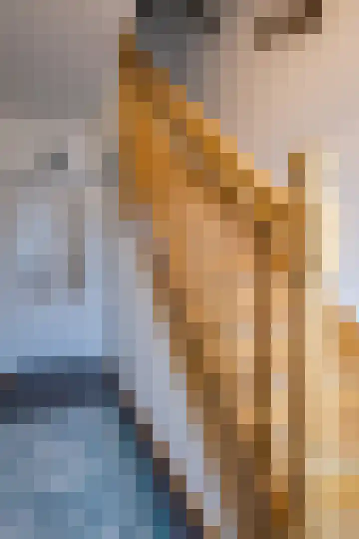 Beekstraat 33 Nieuwstadt thumbnail 5