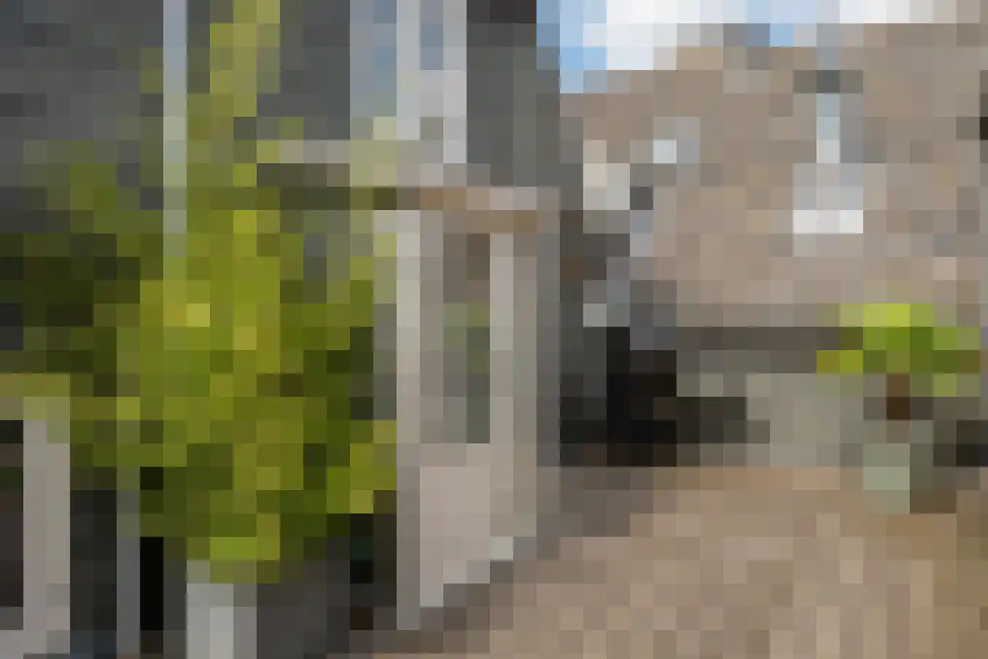 Beekstraat 35 Elburg thumbnail 82