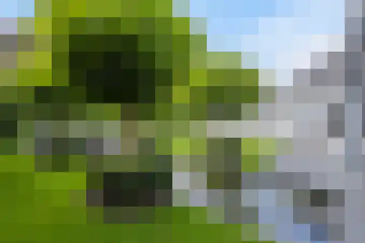 Beekstraat 36 F Nuenen thumbnail 34