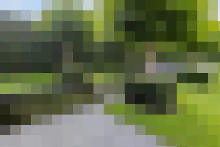 Beekstraat 36 F Nuenen thumbnail 35