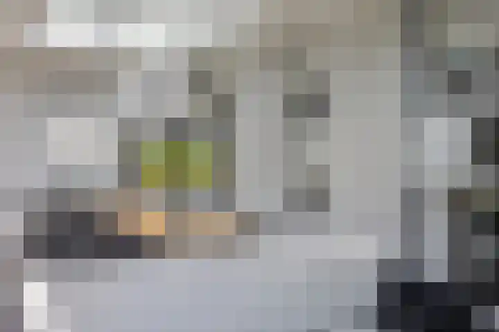 Beekstraat 36 F Nuenen thumbnail 43
