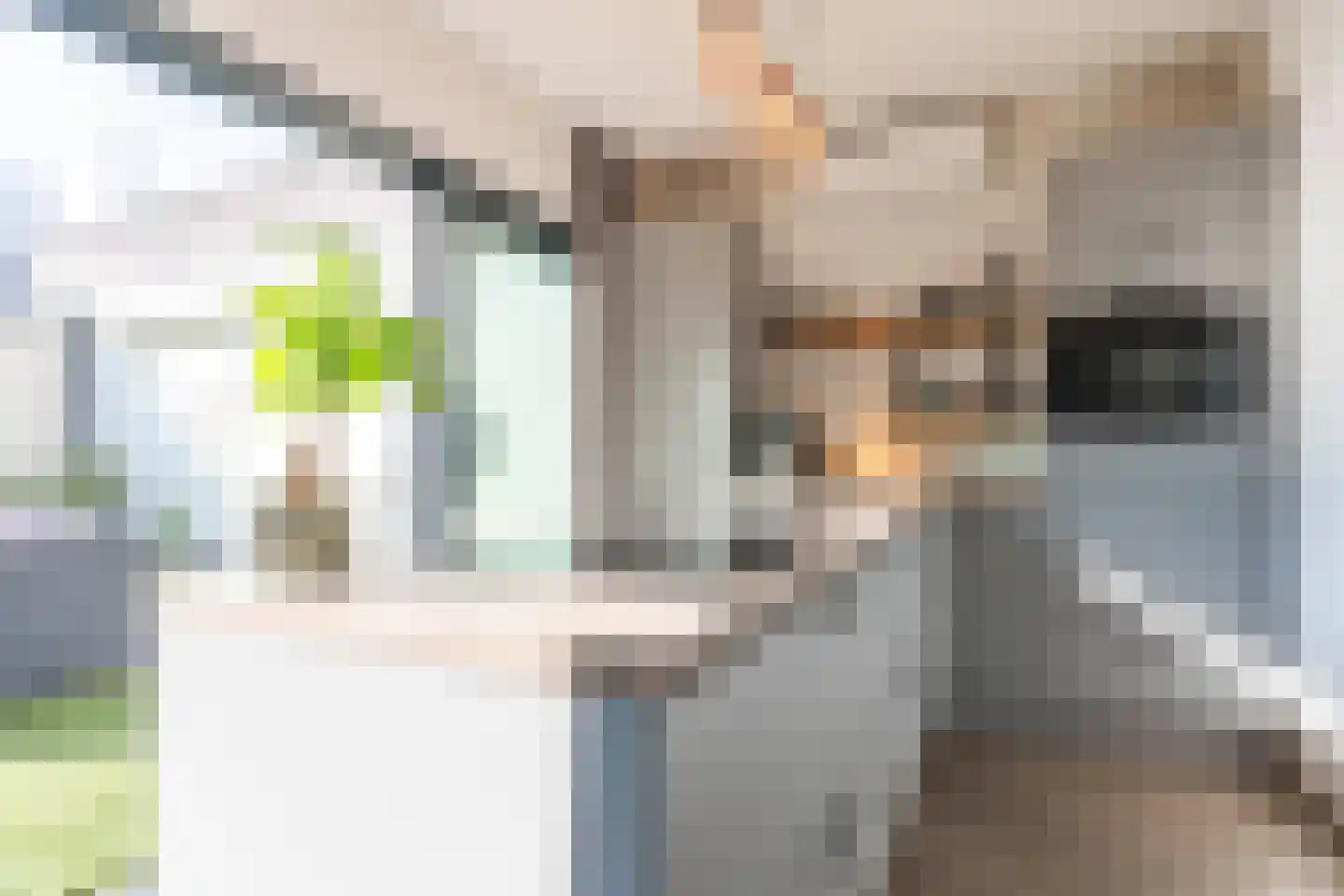 Beekstraat 38 Schinveld thumbnail 10