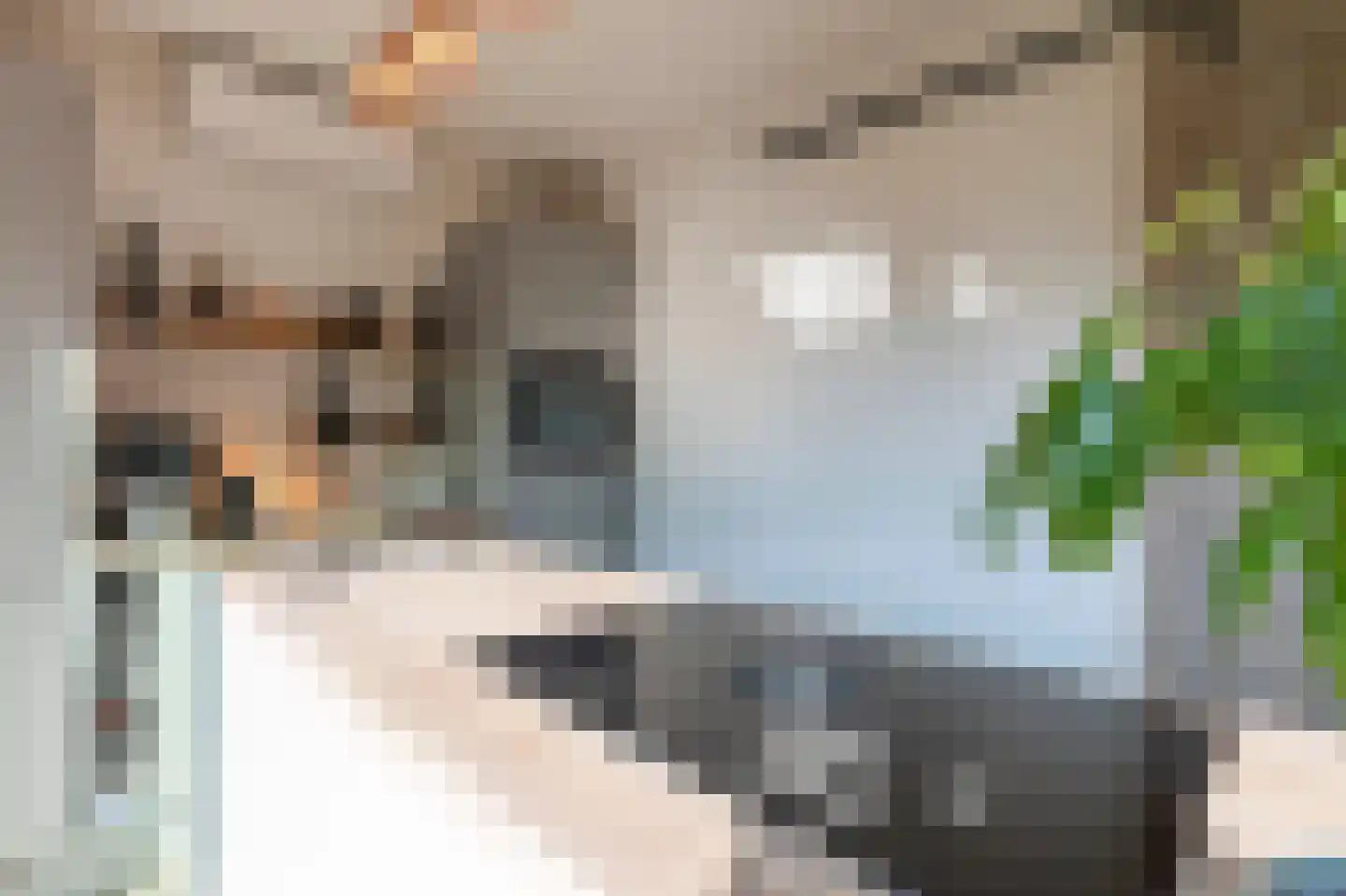 Beekstraat 38 Schinveld thumbnail 11