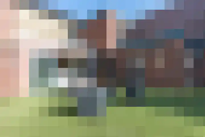 Beekstraat 38 Schinveld thumbnail 28