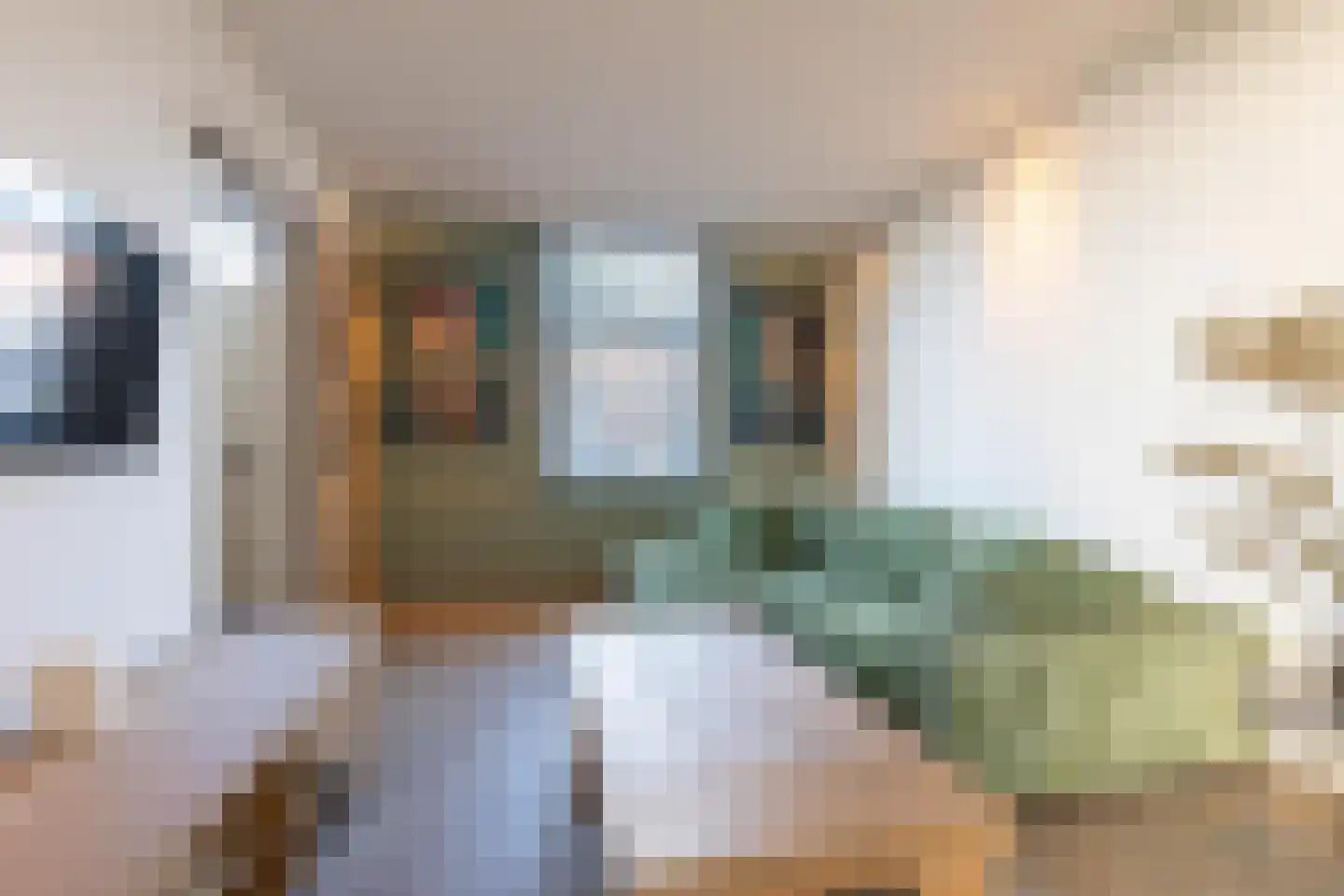 Beekstraat 38 Schinveld thumbnail 5
