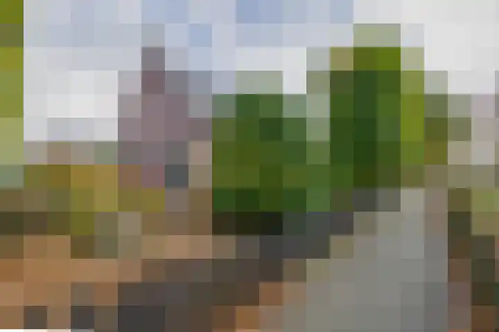 Beekstraat 39 in Nuenen