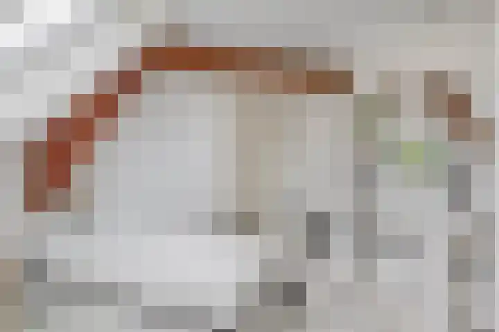 Beekstraat 39 Nuenen thumbnail 42