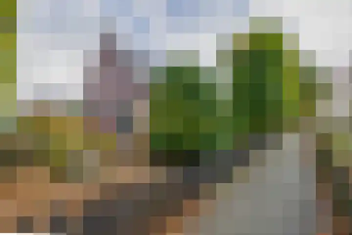 Beekstraat 39 Nuenen thumbnail 5