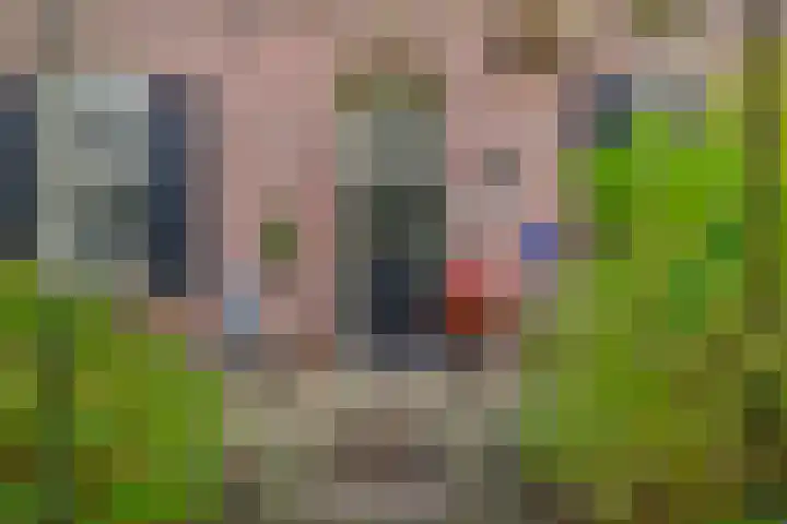 Beekstraat 39 Nuenen thumbnail 9