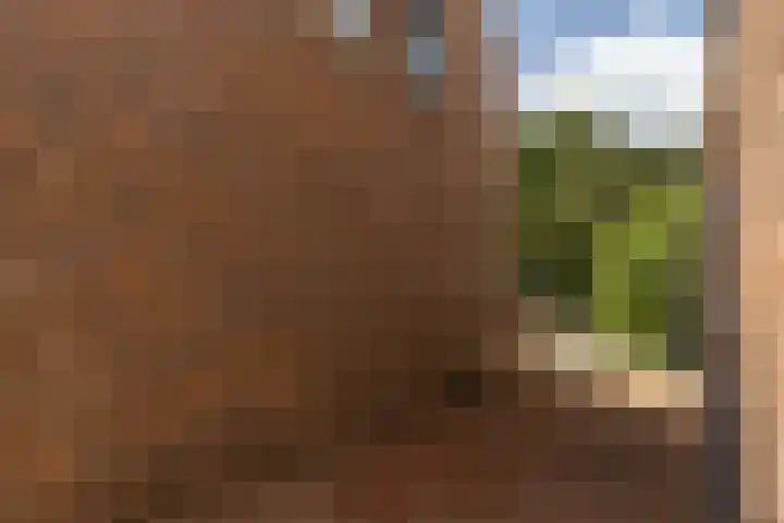 Beekstraat 4 Urmond thumbnail 12