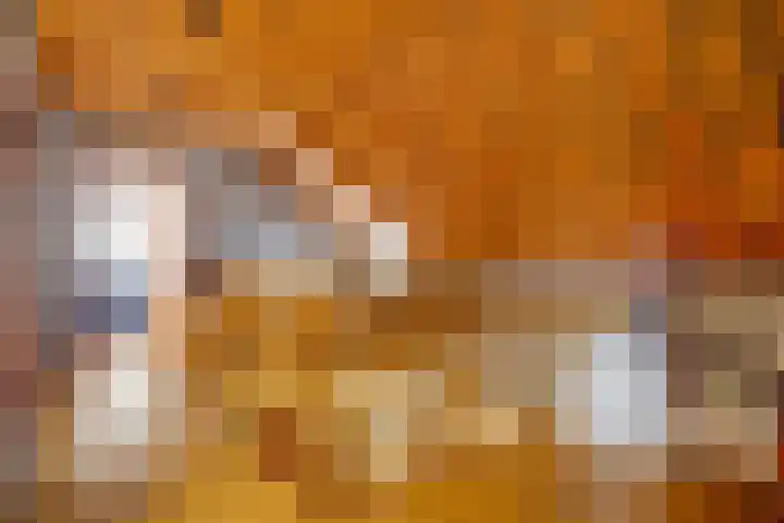 Beekstraat 4 Urmond thumbnail 24