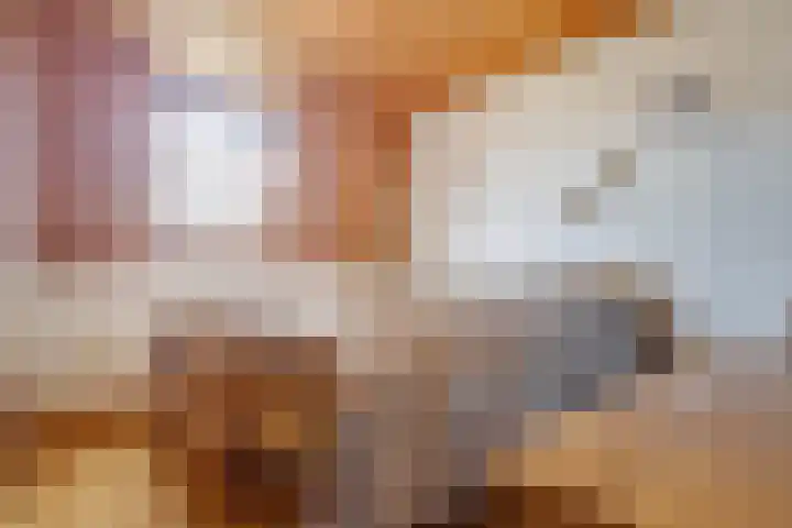 Beekstraat 4 Urmond thumbnail 27