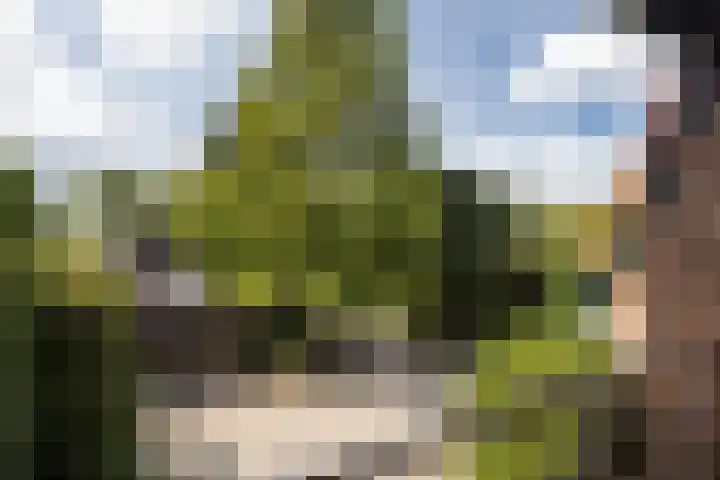 Beekstraat 4 Urmond thumbnail 30