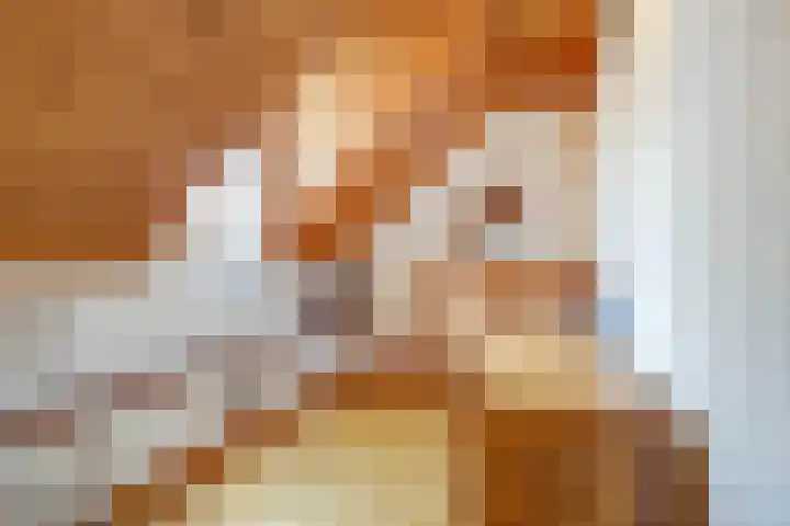 Beekstraat 4 Urmond thumbnail 31