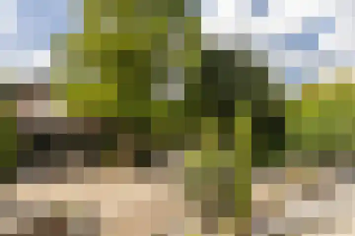 Beekstraat 4 Urmond thumbnail 41