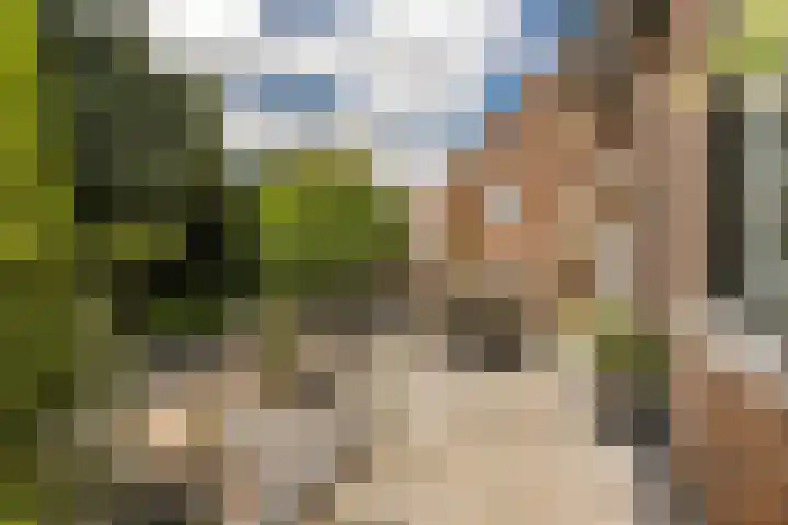 Beekstraat 4 Urmond thumbnail 42